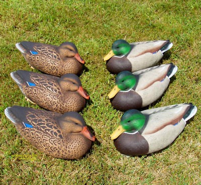 Sporting Goods  Outdoor Sports  Hunting  Decoys