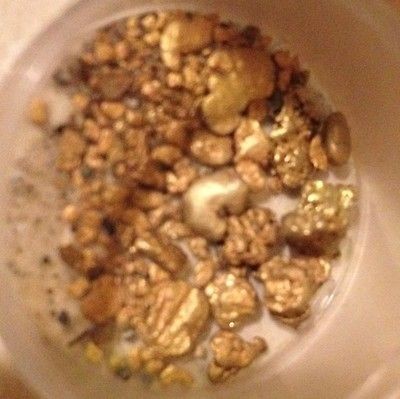 Natural Nuggets  Bonus 1.5 Grams Add  Guanteed Paydirt Read Bonus. Bag 