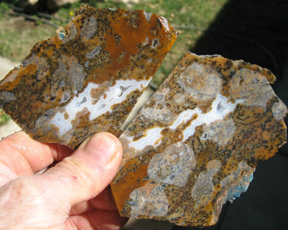 rle 2 CHEETAH AGATE SLABS, DENDRITIC, NICE