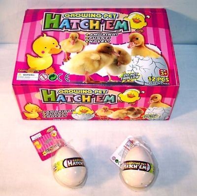 12 DUCK HATCHING EGGS chicken bird GROW magic tricks