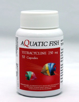 TETRACYCLINE 250 mg 50 Counts AQUATIC FISH ANTIBIOTIC