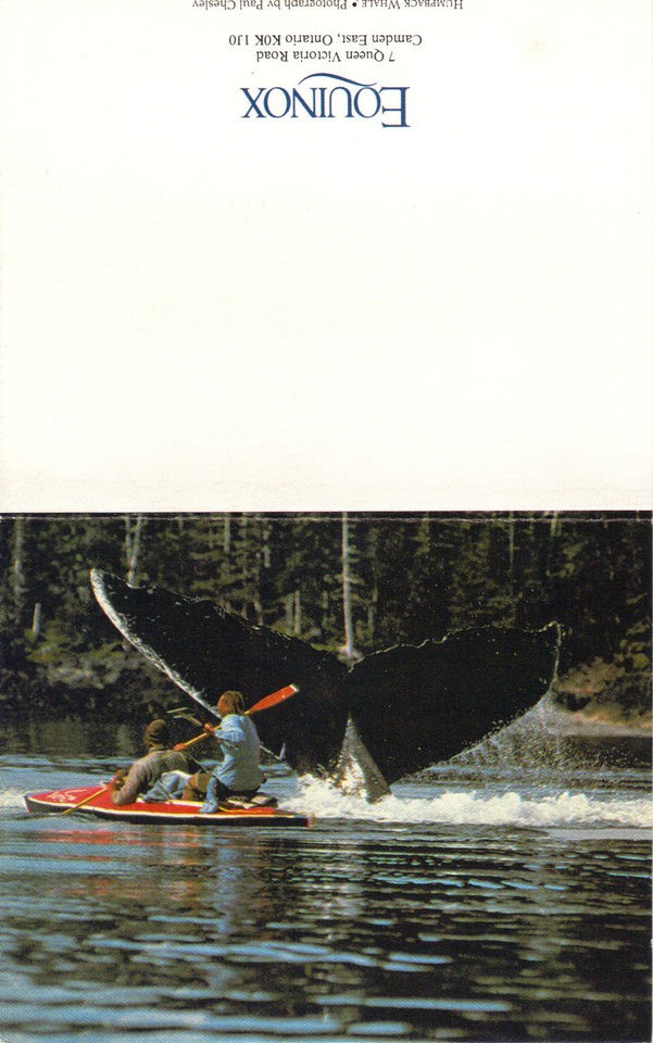 Subscription Card Equinox Magazine Kayak & Humpback Whale