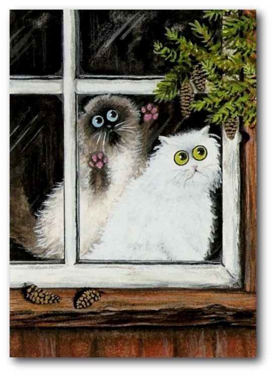 Curious Window Cats   Himalayan White Persian Pinecones BiHrLe ArT LE 