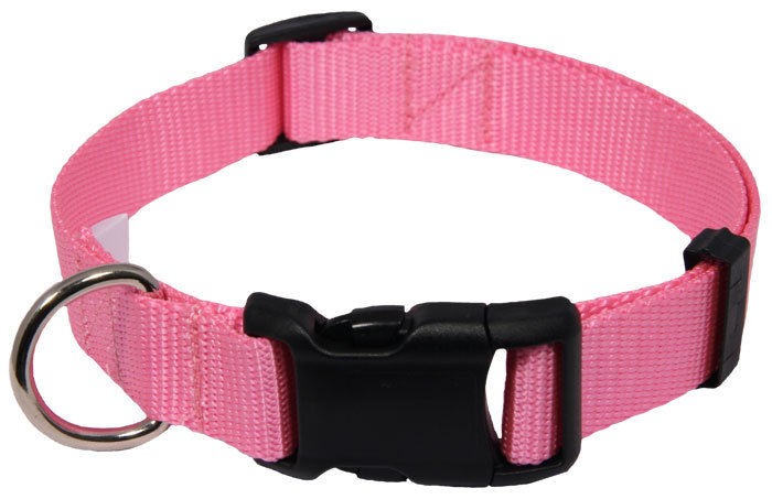 large dog collar in Collars & Tags