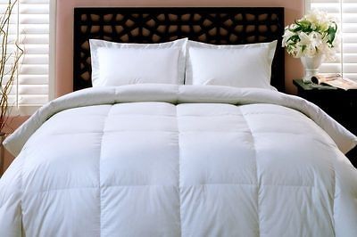   Goose Down Alternative Comforter (Duvet Cover Insert) King / Cal King