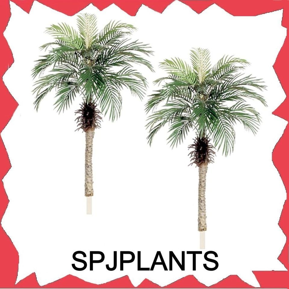 ARTIFICIAL 5 foot PHOENIX PALM TREES Silk Plant Jungl fake date 
