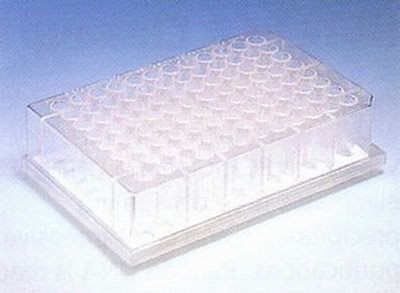 disposable plates in Business & Industrial