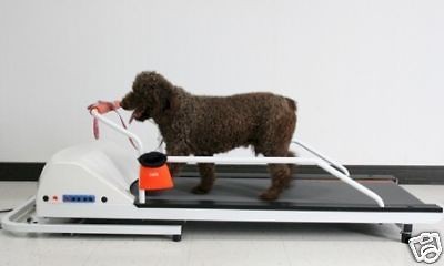 PET RUN PROFESSIONAL DOG TREADMILL by GO PET up to 45lb