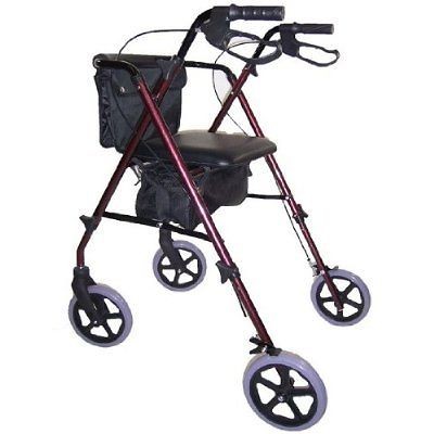 Health & Beauty  Medical, Mobility & Disability  Mobility Equipment 