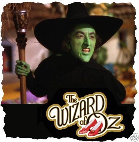 Wizard of OZ # 10   8 x 10   T Shirt Iron On Transfer