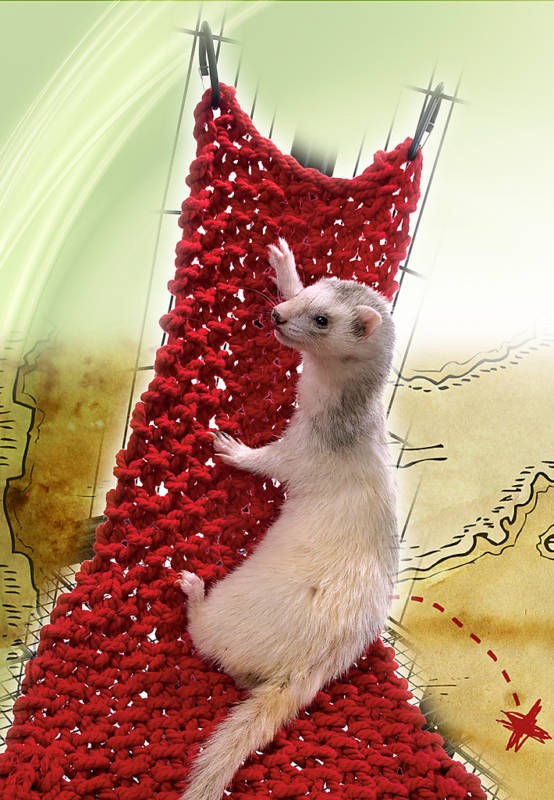 50 x 40cm SUPER PET Rat Ferret Chinchilla Mini cat dog Hammock Bed Toy 