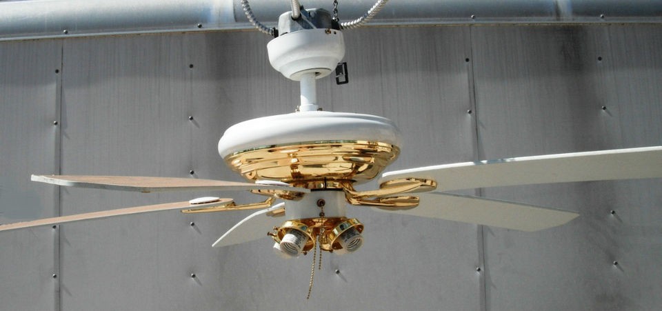 used ceiling fans in Ceiling Fans