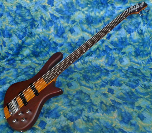 washburn 5 string bass in Bass