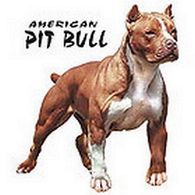   BULL USA America Bottomless Dog Bites Mean Beautiful New Growl Bark