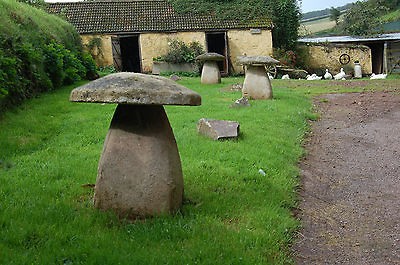 fibreglass mould to make Large Staddle stone, easy to make,