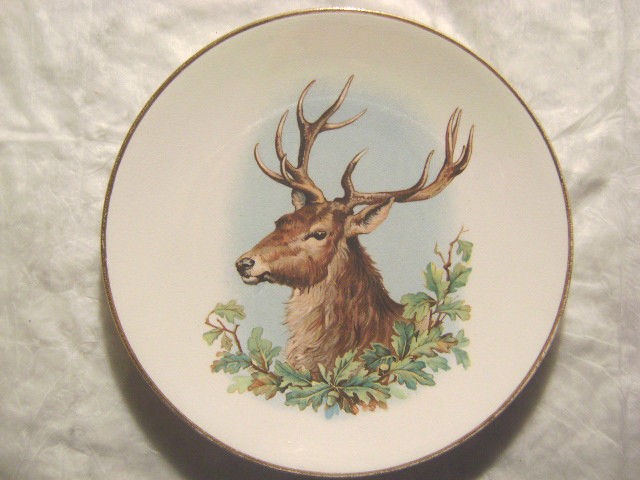 DEER HEAD  **CERAMIC COLLECTOR PLATE GOLD TRIM*