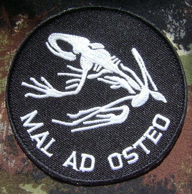   OSTEO NAVY SEALS TEAM FROGMAN BDU BAD TO THE BONE WARFARE VELCRO PATCH