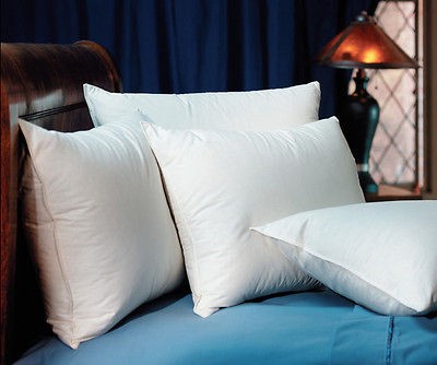 pacific coast pillow in Bed Pillows