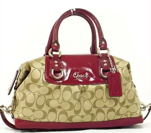 298 428 NWT Coach Ashley Satchel 15443, 17130, 17650, 18425,15540