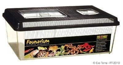 Exo Terra Reptile Faunarium Flat Home Terrarium Large