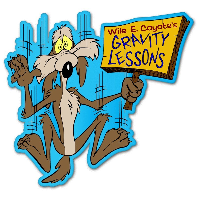 Wile E. Coyote Roadrunner car sticker decal 4 x 4