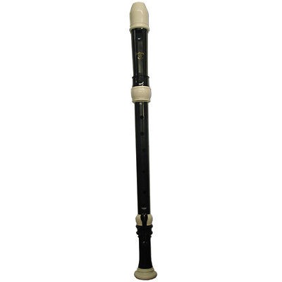 tenor recorder in Recorder