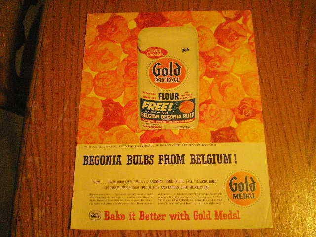   Medal Flour Large Ad Free Belgian Begonia Bulb Offer Flowers Begonias