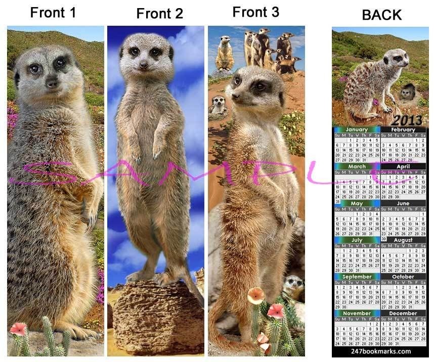   2013 CALENDAR ART BOOKMARK Animal MEERKAT CARD for Purse Wallet Desk