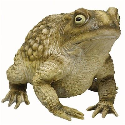 BIG GIANT FOAM TOAD FROG REPTILE W/ WARTS NOVELTY PROP