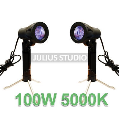 Cameras & Photo  Lighting & Studio  Continuous Lighting  Lighting 