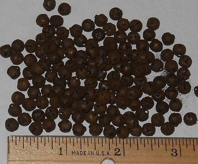 10 ~ Tiny Rusty Bells 6mm ~ Primitive Christmas Craft Supplies #6351