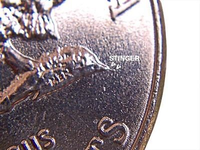 2005 D Bison Buffalo Nickel Stinger Die Error