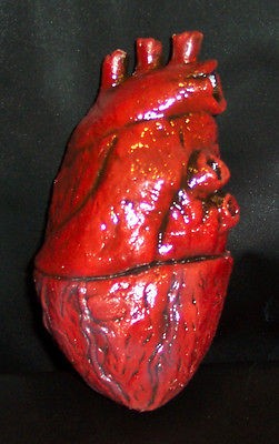   HUMAN HEART HALLOWEEN PROP, BODY PARTS, ZOMBIE FOOD, BUTCHER SHOP, NEW