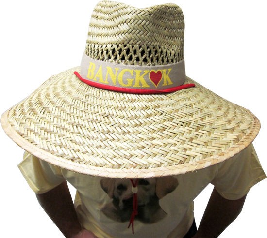 Movie The Hangover 2 Alan Bangkok Straw Costume Hat