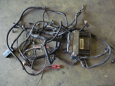 BRAKE BED TAIL BLINKER LIGHT HARNESS WIRE PLUGS CHEVY S10 TRUCK SONOMA 