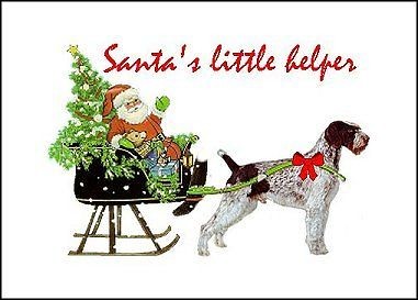 German Wirehaired Christmas cards seals address labels