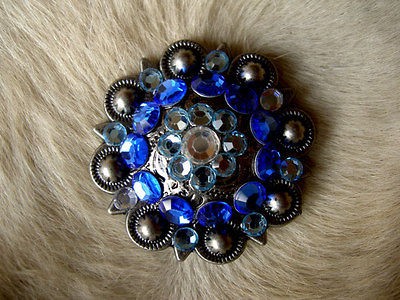 BERRY CRYSTALS BLING CONCHOS HORSE SADDLE HEADSTALL TURQUOISE BLUE 