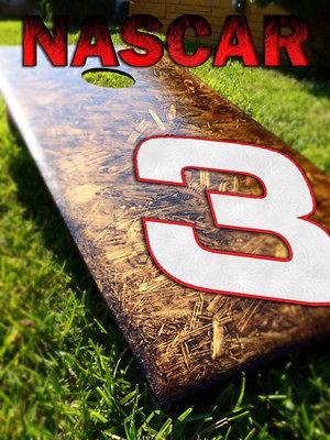 Nascar Cornhole boards and bags (Rich Wood edition) ON SALE