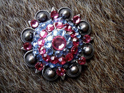 SILVER RHINESTONES CRYSTALS BERRY CONCHOS HEADSTALL PINK AQUA 