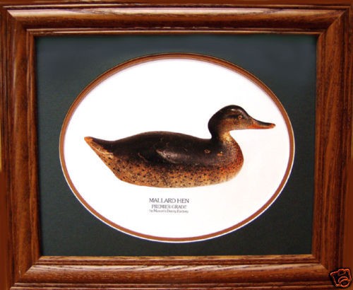 Mason Hen Mallard Premier Grade Duck Decoy Photo Vintage Giclee 