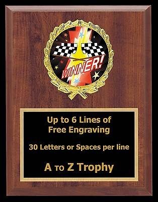 FANTASY STOCK CAR PLAQUE 7 x 9 AUTO RACING TROPHIES GO KART TROPHY 