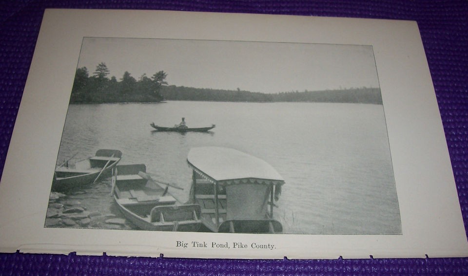 1897 Antique Print Boats Along Big Tink Pond Pike County Pennsylvania 