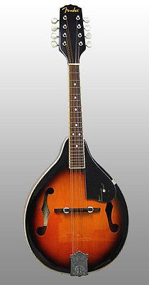 Fender FM 100 Mandolin Pack FM100 Flawless Condition