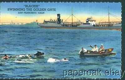 Blackie The Horse Swimming Golden Gate San Francisco Advertising Linen 