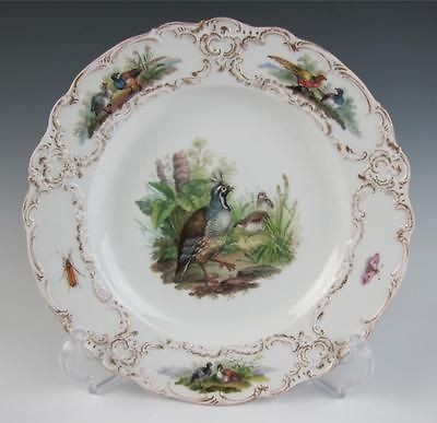   MEISSEN Porcelain GAME BIRDS Plate w/INSECTS Grouse Hunting German
