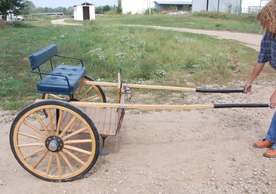 Horse drawn mini miniature horse Meadowbrook style cart by Robert 