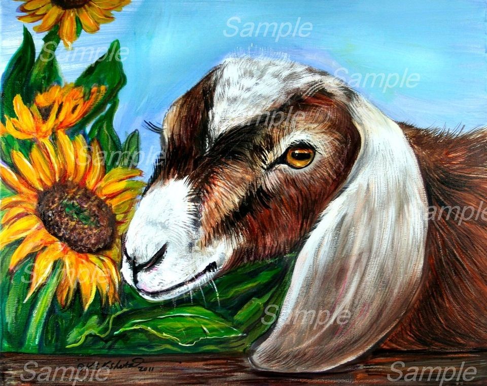 ORIGINAL GOAT PAINTING Sunflower Brown White Boer Farm Kristine 