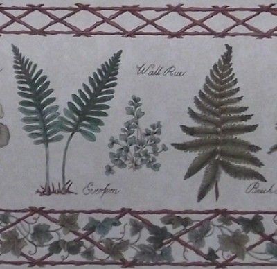 Fern Wallpaper Border Rustic Plant Garden Ivy Vine Moss Pteridology 