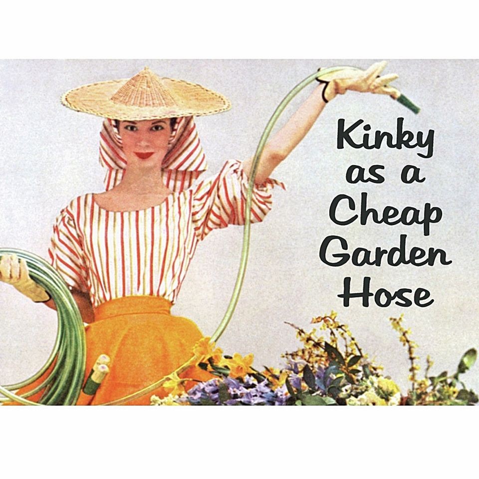 kinky as a cheap garden hose steel funny fridge magnet