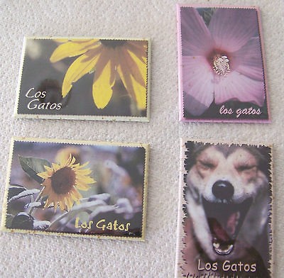 magnet los gatos california sunflower pink flower dog  0 99 